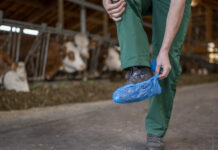 MKS: Vorsicht weiter nötig