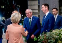 NÖ Bauernbund setzt sich durch: EU senkt Wolfs-Schutzstatus