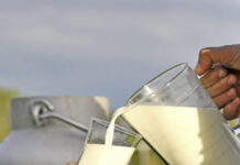 Ein Hoch auf die Milch