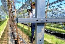 Innovation als Familientradition