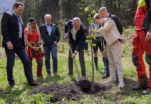„100 Jahre – 100 Hektar“: Bundesforste starten österreichweite Biodiversitätsinitiative im Jubiläumsjahr