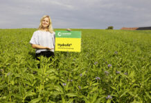 HYDROFIT® – Wassereffiziente Mischung für den Boden