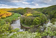 25 Jahre Nationalpark Thayatal: Ein Erfolgsmodell für Naturschutz