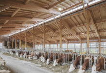 Holzbaupreis: Die besten Bauten wurden prämiert