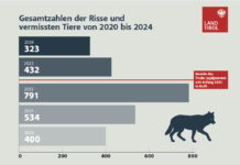 Wolf: Tirol will rechtlichen Spielraum nützen