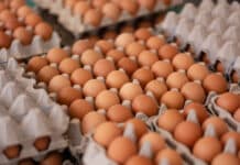 Lebensmittelsicherheit: Österreich liegt weltweit im Spitzenfeld