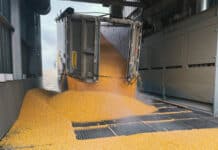 Ukraine: Umfangreiche Einfuhrkontingente vorerst Geschichte