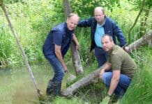 „Stille Enteignung“ durch Biber