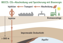 Bioenergie kann noch mehr