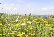 30 Jahre ÖPUL: Eine Erfolgsbilanz