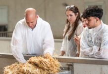 LEH-Lehrlinge bekommen Einblick in die Landwirtschaft