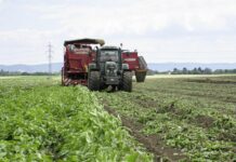 Saisonbeginn für frische Heurige – Qualität aus Österreich