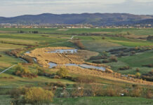 Gleichenfeier im Naturpark Rosalia-Kogelberg