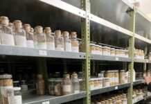 AGES: Von Saatgut bis Tiergesundheit