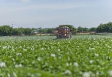 Was es mit TFA und PFAS auf sich hat