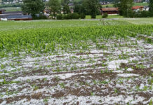 Erneut schwere Unwetter in Österreich
