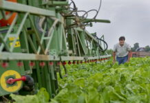 Agrarminister für Trendwende beim Pflanzenschutz