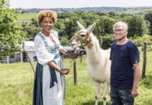 „Liebesamor“ reist wieder durchs Land