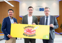Landwirtschaftskammer bringt Bedenken gegen Laborfleisch ein