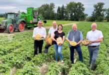 Früher Start für Erdäpfel