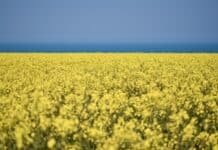 Kooperation: Drei Länder, ein Fonds für Agrarforschung