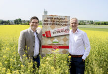 Was dem österreichischen Senf fehlt