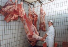 EU-Rindfleischproduktion gesunken