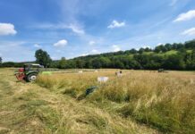 Balken- und Scheibenmäher: Doch kein Unterschied?