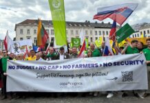 GAP ab 2028: Harsche Kritik an Hansens Plänen