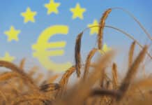 EU-Kommission bricht mit Zwei-Säulen-Modell der GAP