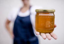 Honigjahr 2025: Ernte bleibt unter Erwartungen