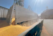 Handelsabkommen: Ukraine stimmt Angleichung an EU-Standards zu