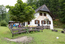 Weiden und Wald statt Wildwuchs