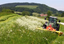 Monitoring der MFA-Flächen gestartet