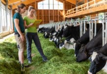 AMA-Marketing: „Kontrollen werden nicht ausgeweitet“