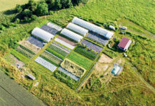 So wirtschaftlich ist der Gemüsebau auf Kleinstflächen