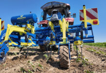 Webinar-Tipp: Hacken mit Künstlicher Intelligenz