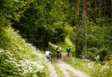 Freizeitsport als Problem