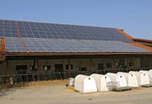 „Netzgebühren dürfen Innovation nicht bremsen“