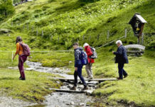 Hochfest der Almwirtschaft