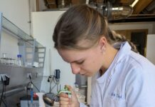 Eine Untersuchung der Artenvielfalt im Mikrobereich