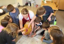 Schul-Workshops: Wenn der Bauernhof in die Klasse kommt