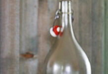 Die Mostsaison hat begonnen