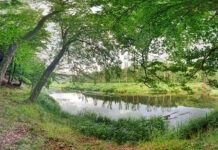 Regionaler Mehrwert durch möglichen Nationalpark im Kamptal