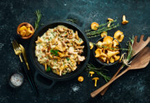 Eierschwammerl sind das Gold des Waldes