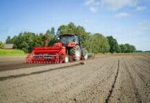 Die besten Rapssorten im Überblick