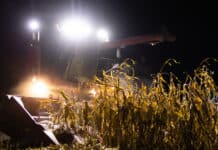 Viel Lärm um nichts