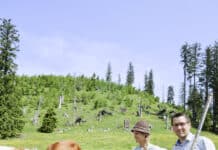 Einblicke in die Welt der Almbauern