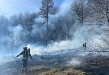 Warnung vor Waldbrandgefahr