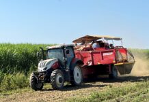 Im Gemüsebau stets offen für Neues